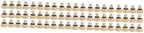 BESPORTBLE 60pcs Brass Misting Nozzle Replacement for Garden Sprayer Low Pressure Atomizing Nozzle by BESPORTBLE