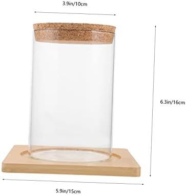 Cabilock Moss Eco Bottle Plant Propagation Terrarium Glass Succulent Jar Micro Landscape Container Watering Globes - Image 2