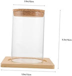 Cabilock Moss Eco Bottle Plant Propagation Terrarium Glass Succulent Jar Micro Landscape Container Watering Globes - Image 2