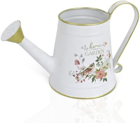 Cute Small Watering Can Indoor Plants Garden Metal Decorative Watering Cans for Outdoor Plants Bonsai Outdoor Garden Flower Decorative (White, 1.5L, 50.7 Oz) by Z%C2%B2BellaDecor