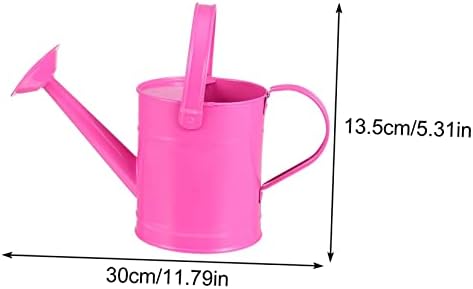 Multi-use Iron Art Watering Pot for Indoor Outdoor Plants Garden Sprayer for Succulents and Air Plants Red Spray Bottle Suitable for Household Gardening - Image 2