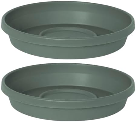 Bloem Terra Plastic Saucer Tray for 14" Terra Planters, Basil, 2-Pack by Bloem