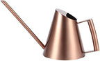 Watering Can for Indoor Outdoor Plants, Stainless Steel Long Spout Watering Can for Bonsai Garden Plants Flowers, Simple and Fashionable (400ml (13.5oz)) by Buachois