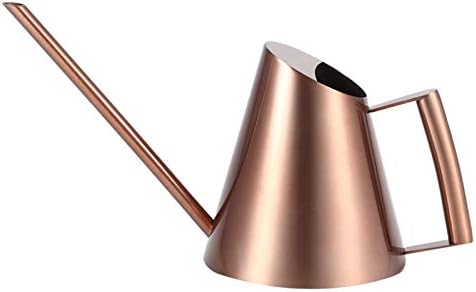 Watering Can for Indoor Outdoor Plants, Stainless Steel Long Spout Watering Can for Bonsai Garden Plants Flowers, Simple and Fashionable (400ml (13.5oz)) by Buachois