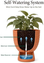 vensovo Terracotta Self Watering Plant Pots, 6 and 8 Inch with Saucers - Image 5