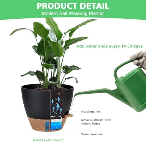 Self Watering Planter Set with Visual Water Level, 6Pack Small Plastic Pot with Drainage Holes and Reservoir Saucers, Modern 8+7+6.5+6+5.5+5 Inch Bottom Watering Flower Pots for Indoor Plant - Black - Image 6
