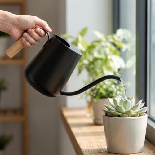 Comfortable Long-Spout Watering Can, Brushed Stainless Steel - Image 7