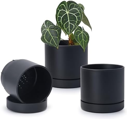 Phoenix Vine 6 Inch Planter Pot with Drainage Hole & Saucer, Deep Water Catch Tray, Straight Cylindrical Round Pot for Plants, Matte Black, Pack of 3, 23-C-S-3 by Phoenix+Vine