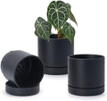 Phoenix Vine 6 Inch Planter Pot with Drainage Hole & Saucer, Deep Water Catch Tray, Straight Cylindrical Round Pot for Plants, Matte Black, Pack of 3, 23-C-S-3 by Phoenix+Vine