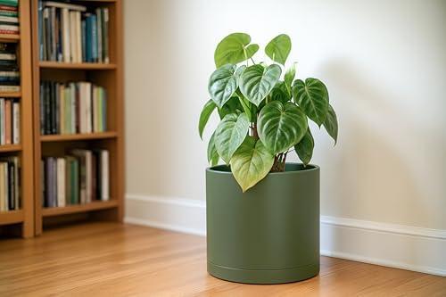 D'vine Dev Plastic Planter Pot with Saucer, 12 in, Olive, 74-X-I-3 - Image 7
