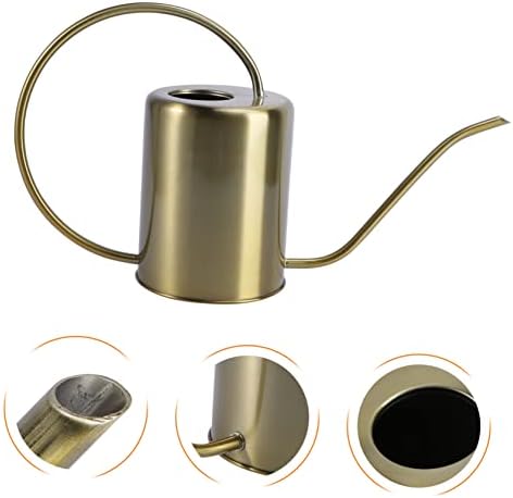 Garden Watering Pot 2000ml Stainless Steel Long Spout for Home - Image 4
