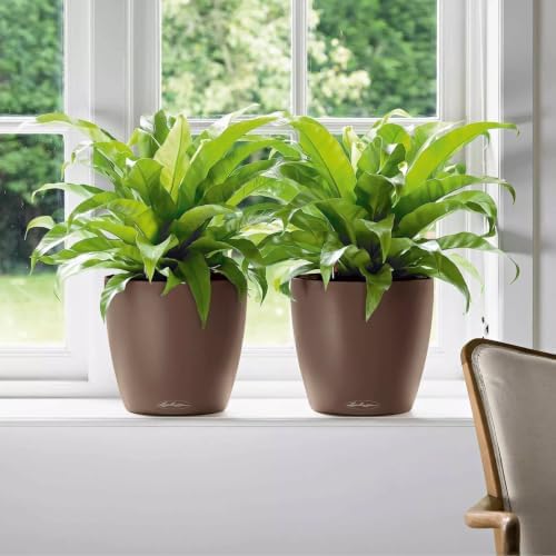 Lechuza Classico Color 21 Nutmeg, Self-Watering Small Round Planter, D8.3 H7.9 in - Image 3