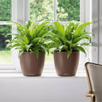 Lechuza Classico Color 21 Nutmeg, Self-Watering Small Round Planter, D8.3 H7.9 in - Image 3