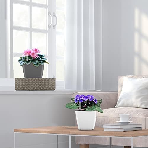 Self Watering Planters for Indoor Plants : 5 inch 6 Pack Grey Planter with Water Level Indicator African Violet Self Watering Flower Pot for Herb Pot House Plant Planting - Image 5