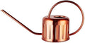 34oz/1L Stainless Steel Watering Can - Indoor/Outdoor Plant Watering Can with Long Spout, Rust-Proof for Succulents, Houseplants, Garden - Modern Minimalist Design (Copper Color) by BLstyle