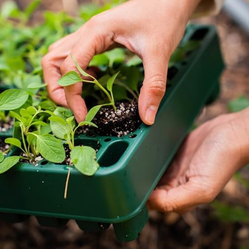 Vego garden 10" x 20" 76 Cells Seed Starter Tray Stackable Seedling Starting Germination Trays for Plants Planting Vegetables Herbs Flowers, 3 Sets - Image 4