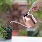 Stainless Steel Watering Can Ml with Long Spout for Plants - Image 6