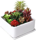 MyGift White Ceramic Square Planter Pot with Drainage Hole & Drip Tray by MyGiftHome