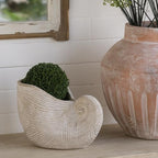Nautilus Shell Planter, 8.5 Inch, Beige by Noeko