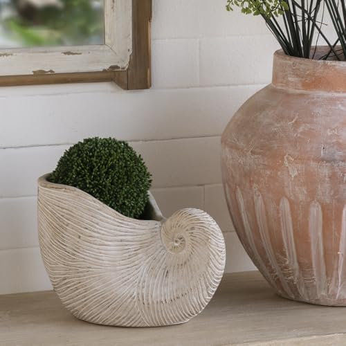 Nautilus Shell Planter, 8.5 Inch, Beige by Noeko
