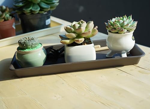 VUWEZ 6 Pack of Plastic Plant Tray Saucer Rectangular 14 inch, Plant Trays Saucers for Indoors Outdoor, Plant Water Drip Tray for Flower Pot Planter, Windowsill Plant Tray (6.8 X 14.5'', Brown) - Image 7