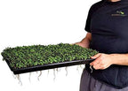 Bootstrap Farmer Extra Strength 1020 Trays, Purple with Holes, 10 Pack - Image 2