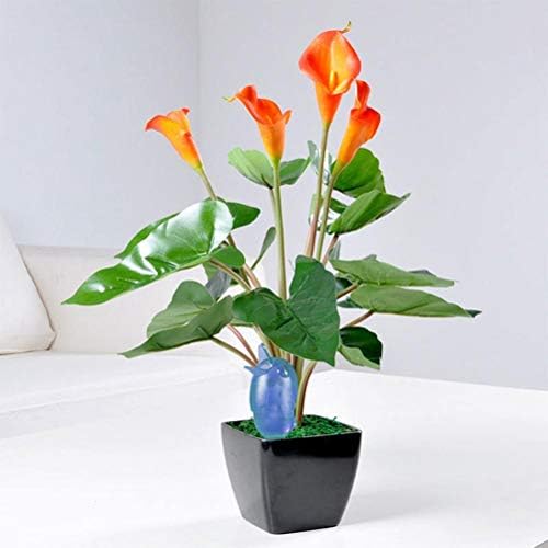 Plant Watering Device,Garden Waterer 3 Pcs Plant Flowers Water Feeder Auto Bottle Drip Irrigation System Automatic Self Watering Devices - Image 2