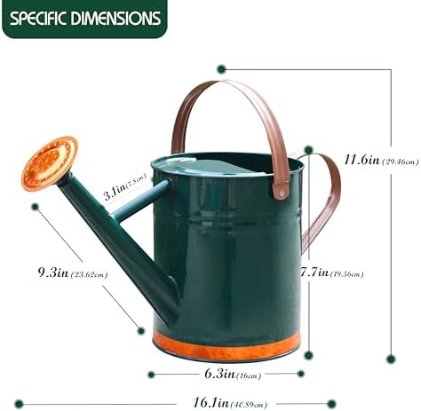 Metal Watering Can for Outdoor Plants, Watering Can Decor 1 Gallon (GB) - Image 2