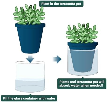 D'vine Dev Self-Watering Blue Terracotta Planter, 4 in, 3-Pack, 37-Z-A-4-T - Image 4