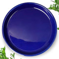 Plant Saucer for Outdoors - Ceramic Plant Saucer, 10 Inch Plant Trays for Indoors, Round Flower Pot Saucer, Large Plant Drainage Tray, Plant Plates to Catch Water Blue by EPFamily