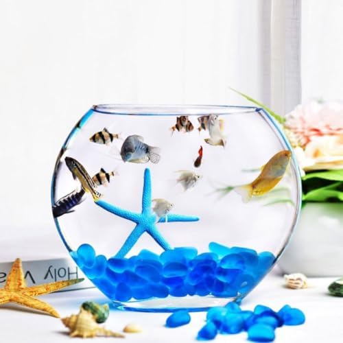 Glass Terrarium Bottle Xmas Decorative Micro Landscaping Container - Image 6