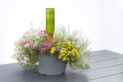 Plant Nanny Emerald Wine Bottles & Watering Stakes Kit - Image 3