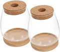 Xmas Glass Terrarium with Lid, Decorative Micro Landscaping Container by Parliky