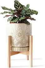 8 Inch Plant Pot with Stand, Ceramic Planter with Drainage Holes, Saucers and Mesh Pads for Indoor-Outdoor Plants by YFFSRJDJ