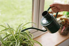 Kent & Stowe 2L Indoor/Outdoor Watering Can in Forrest Green, Rust-Resistant Galvanised Watering Can with Handle and Long Spout, Classic All Year Round Garden Tools Made from Steel - Image 3