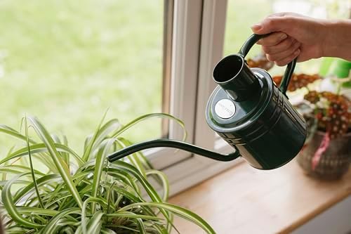 Kent & Stowe 2L Indoor/Outdoor Watering Can in Forrest Green, Rust-Resistant Galvanised Watering Can with Handle and Long Spout, Classic All Year Round Garden Tools Made from Steel - Image 3
