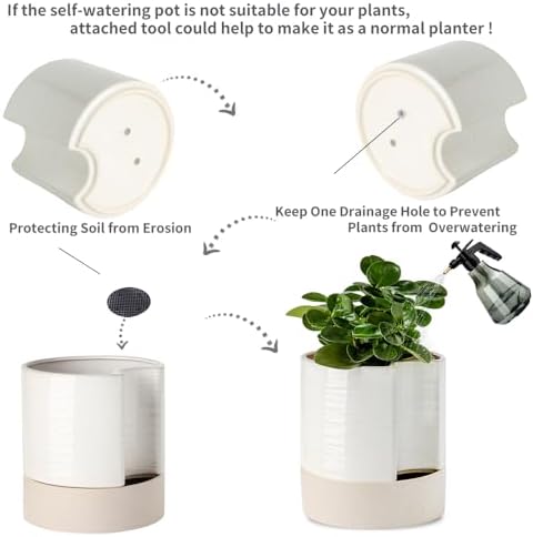 Nihow Ceramic Self Watering Plant Pot for Indoor Plants, 8 Inch,Cream White - Image 4