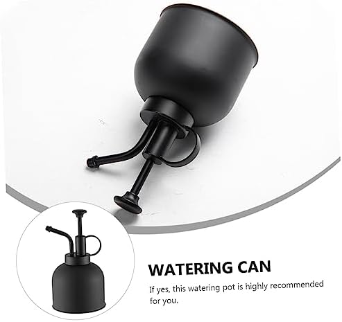 VANZACK Vintage Style Stainless Steel Mister Spray Bottle Garden Watering Can for Indoor Plants - Image 2