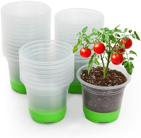 MIXC Clear Nursery Pots with Silicone Base, 5-Inch, 30-Pack by MIXC