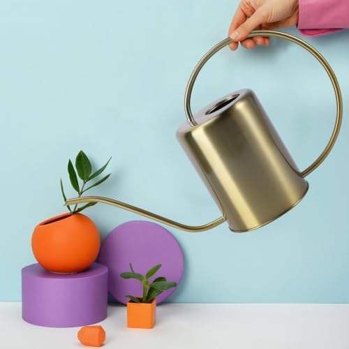 Brass Gooseneck Watering Can – 1.5L/2L Stainless - Image 7