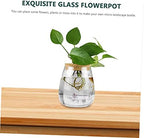 2pcs Glass Hydroponic Plant Bottle Decorative Container - Image 6