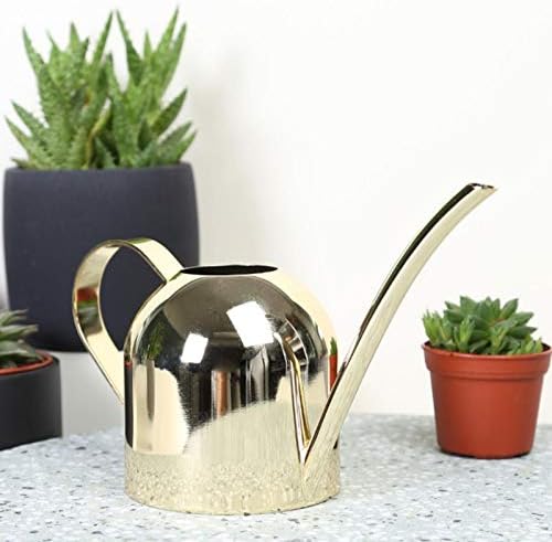 Naysku Long Spout Watering Can, Stainless Steel Rustic Retro Textured - Image 5