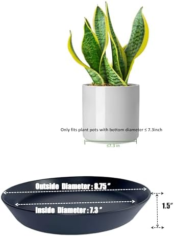 Plant Saucer 8 Inch, 2 Pack Large Plant Saucers Ceramic Tray 8 inch (7.3" Inner) for Flower Pot, Classic Sturdy Planter Water Catcher Tray for Plant Base,Black - Image 2