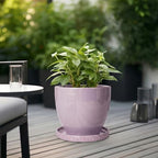 Eightpot Ceramic Plant Saucer, 11.4 Inch Plant Pot Saucers for Indoor Outdoors, Round Plant Drip Trays, Modern Plants Plates to Catch Water, Decorative Plants Dishes to Catch Water, Purple - Image 4