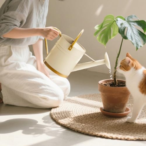 Fenteer Watering Can Metal Long Spout Iron Pot Ergonomic Handle Decorative Vintage Style Rust Resistant Suitable for Indoor Gardening Office Balcony Outdoor Decor - Image 4