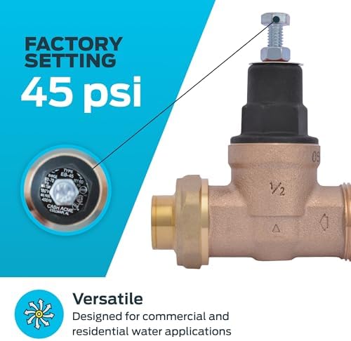 Cash Acme EB45 Pressure Regulating Valve, Single Union, 1/2 Inch NPT Female x NPT Female, Poly Top, 45 PSI, 23882-0045 - Image 3
