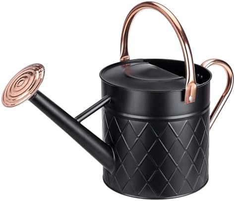 1.75 Gallon Outdoor Metal Watering Can for Garden Plants, Vintage Zinc Watering Can with Removable Spray Spout, Ideal for Outdoor Use (Black) by BLstyle