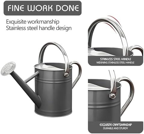 Metal Watering Can for Outdoor Plants, Watering Can Decor 1 Gallon (Gray) - Image 4