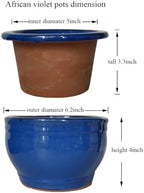 African Violet Pots Self Watering Blue 6 inch - Image 2