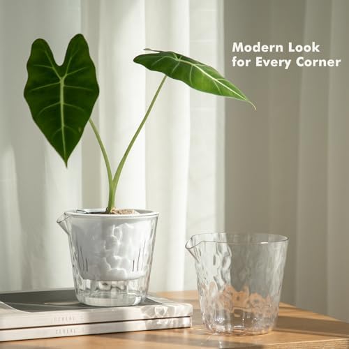 6.5 Inch Self Watering Plant Pots for Indoor Plants 10 Packs African Violet Pot, Self Watering Planters for Herb, Orchid, Devil's Ivy, Flower Houseplant Planters, Clear Plant Pots, White - Image 2